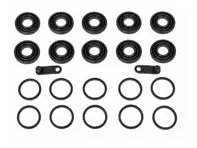Dichtungssatz und Staubschutzkappe für 10-Kolben-Bremssättel. Porsche 958 / 9YA Cayenne / 971 / 976 Panamera / 9J1 Taycan - 95835131300 - 227004